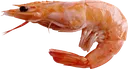 4kshrimp