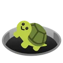 turtleblackhole turtleblackhole