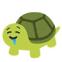 turtledrool