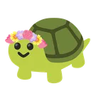 turtleflowercrown