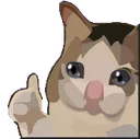 Happy Cat happycat Discord Emoji