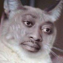 EN_catthonk Discord emoji