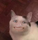smile