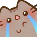 dv_pusheenCryOwO