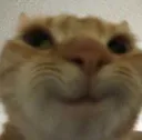 smile smile