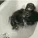 BATHTIME