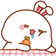 dv_bunbunSleepyOwO