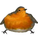ChonkBird ChonkBird