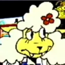 shaconcerned