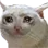 SadMeow