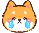 shiba_cry