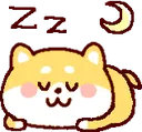 shiba_sleep