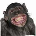 Happy_Monkey Discord Emoji