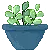 plant_succulant