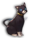 Kitten kitten Discord Emoji