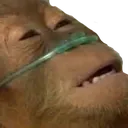 Cope Cope