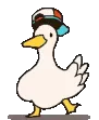 duckdance