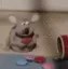 raddoca