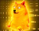 TheGodDoge