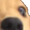 Wowee2