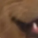 Wowee3 Wowee3