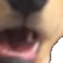 Wowee4