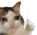 KBBQ_thumbsup Discord emoji