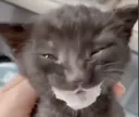squinch
