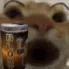catdrinks