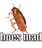 Hoes_mad