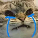84444001_2538158146504581_242688