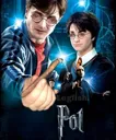 pot