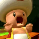 toadrun toadrun