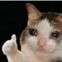 CatSadYes