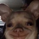 slothywot