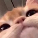 lookin