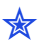 star_blue Discord emoji
