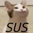 SUS