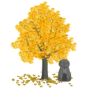 F_ginkgo