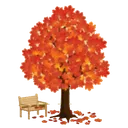 F_maple