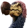 DodoProud_small DodoProud_small