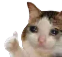 NS_thumbsup NS_thumbsup