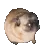 dance_boi