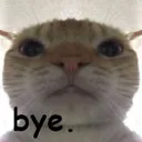 Catbye Discord Emoji