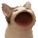 popCat