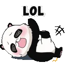 ANIpandaLOL