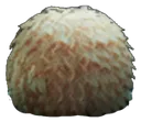 Tribble