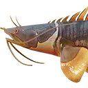 DoD_Fishy_1