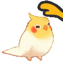 birdpat
