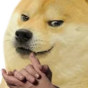 doge_greedy